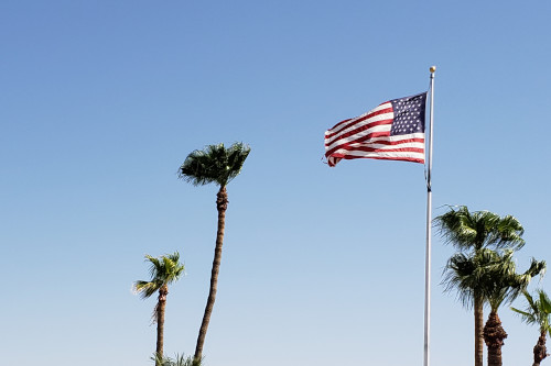 United States flag and palm trees