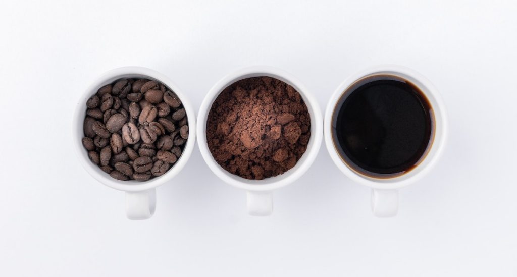 Lifecycle and stages of a coffee bean. Photo by Sina Asgari.