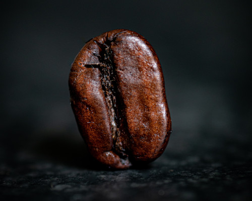 How to Remove Moisture From Coffee Beans 