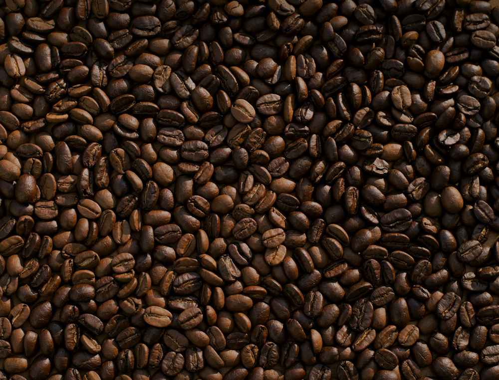 How is Decaf Coffee Made? The 4 Decaffeination Processes Explained